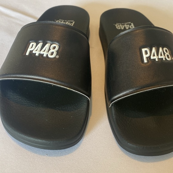 P448 Slides - Picture 2 of 4